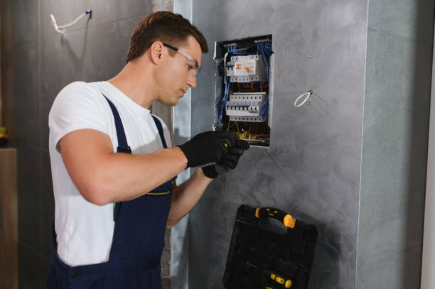 Best Electric Panel Repair  in Portage, WI